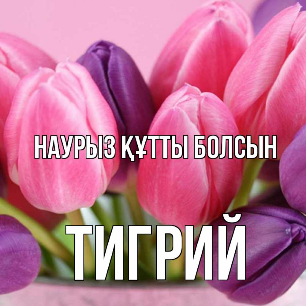 Открытка на каждый день с именем, Тигрий Наурыз құтты болсын маме 1 Прикольная открытка с пожеланием онлайн скачать бесплатно 