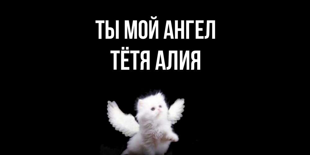 Открытка на каждый день с именем, Тётя-Алия Ты мой ангел Кот ангел Прикольная открытка с пожеланием онлайн скачать бесплатно 