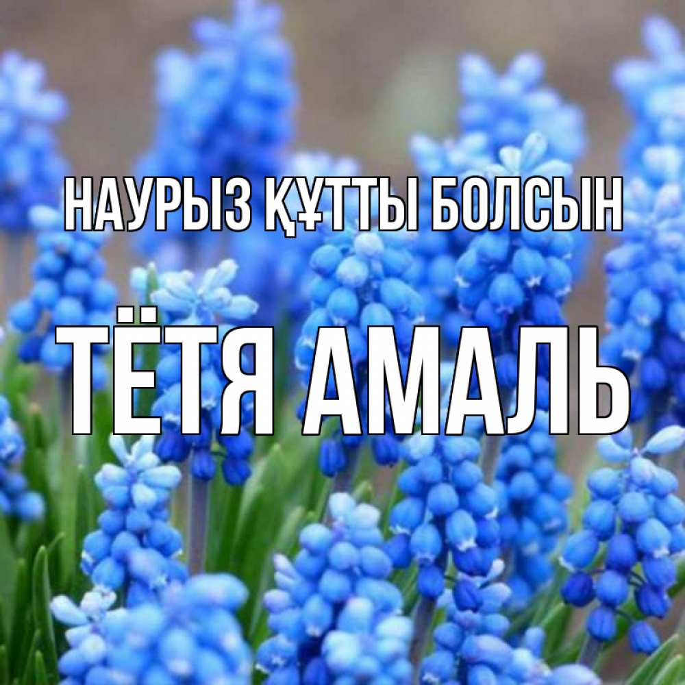 Открытка на каждый день с именем, Тётя-Амаль Наурыз құтты болсын Поздравительная открытка для женщин с цветами на праздничную дату Прикольная открытка с пожеланием онлайн скачать бесплатно 