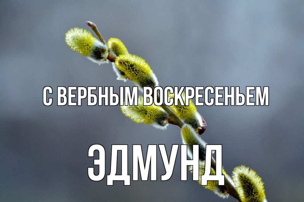 Открытка на каждый день с именем, Эдмунд С вербным воскресеньем верба Прикольная открытка с пожеланием онлайн скачать бесплатно 