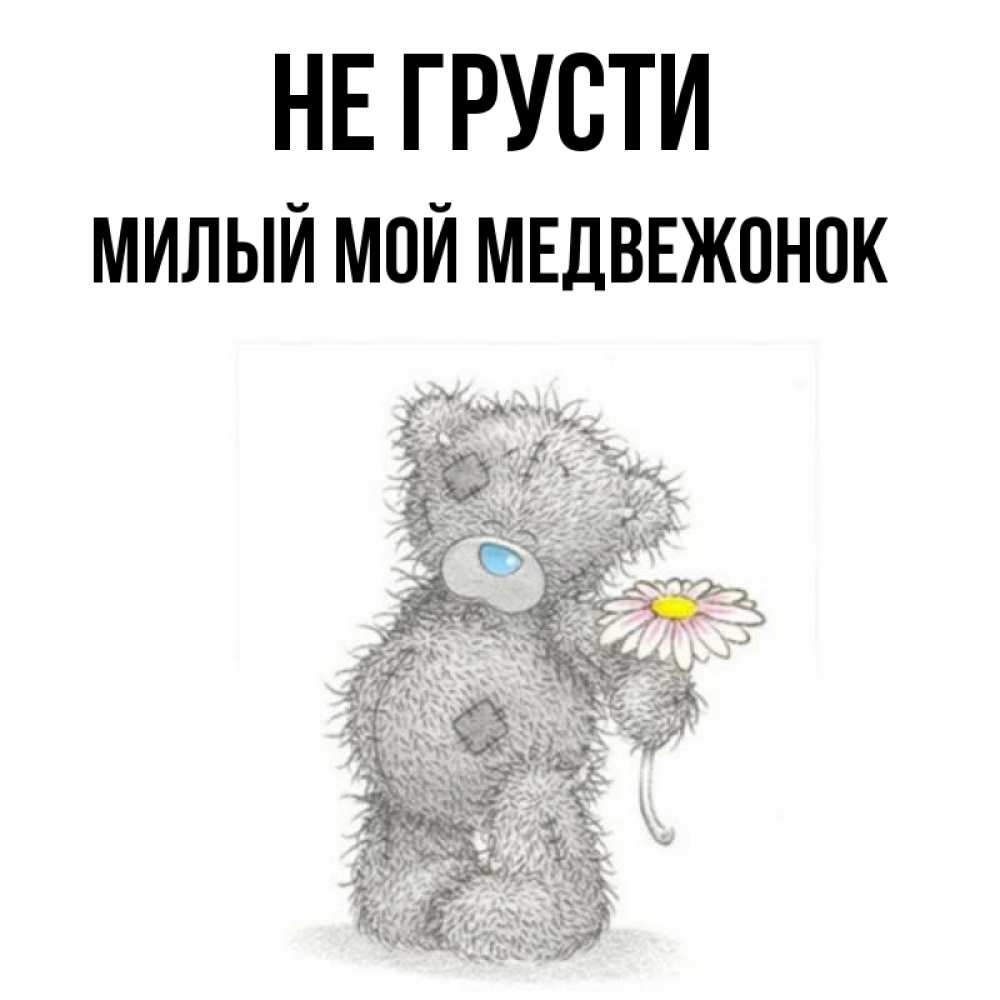 Мой медвежонок картинки