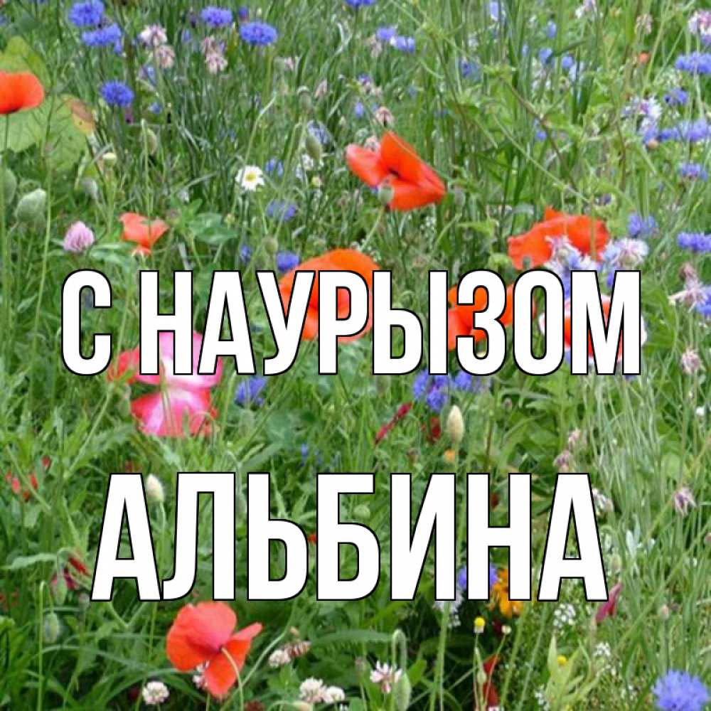 Открытка на каждый день с именем, Альбина С наурызом праздник весны наурыз супер открытка Прикольная открытка с пожеланием онлайн скачать бесплатно 