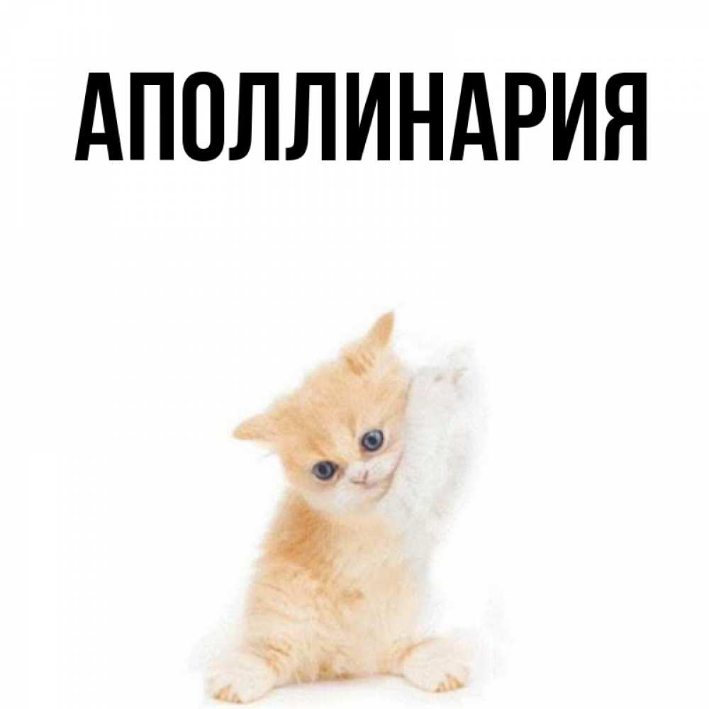 Открытка на каждый день с именем, Аполлинария Главная я хочу очень скорее обнимаешек Прикольная открытка с пожеланием онлайн скачать бесплатно 