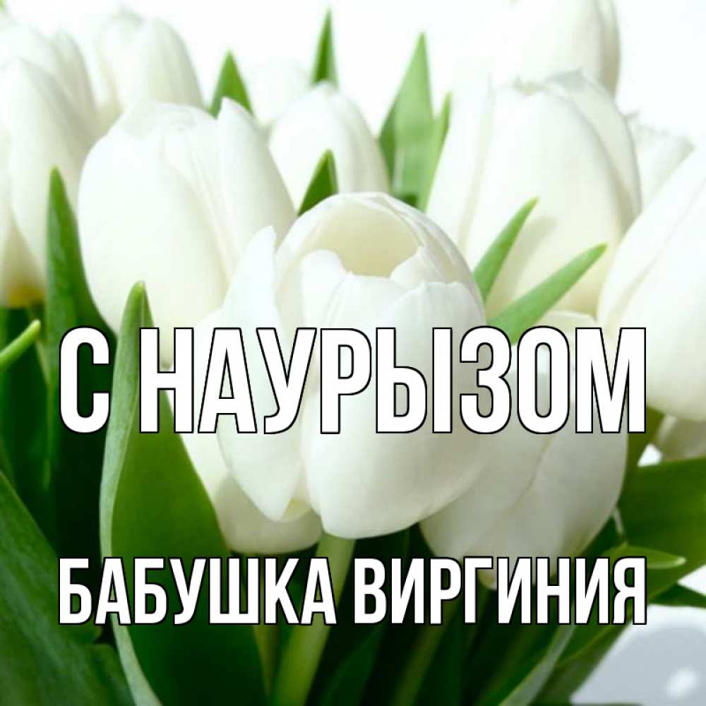 Открытка на каждый день с именем, Бабушка-Виргиния С наурызом цветы Прикольная открытка с пожеланием онлайн скачать бесплатно 