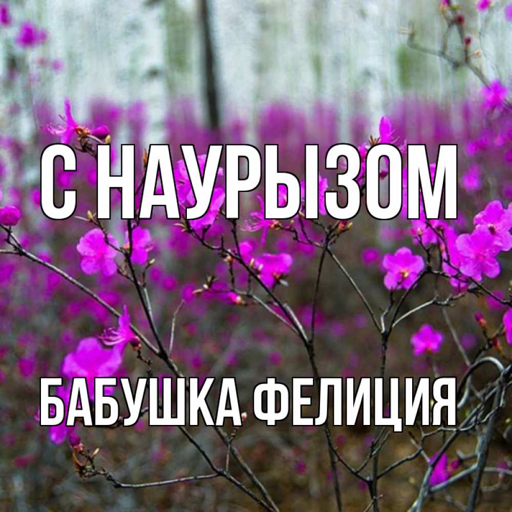 Открытка на каждый день с именем, Бабушка-Фелиция С наурызом дикие цветы Прикольная открытка с пожеланием онлайн скачать бесплатно 