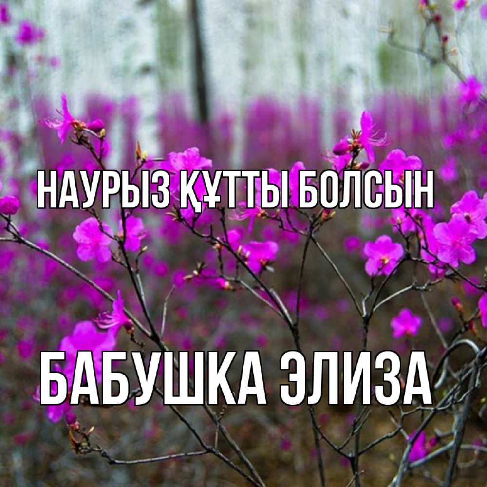 Открытка на каждый день с именем, Бабушка-Элиза Наурыз құтты болсын дикие цветы Прикольная открытка с пожеланием онлайн скачать бесплатно 