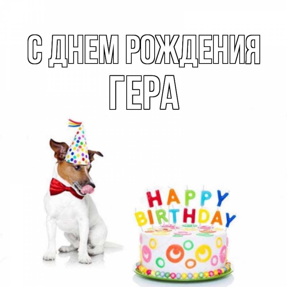 Открытка на каждый день с именем, Гера С днем рождения праздник Прикольная открытка с пожеланием онлайн скачать бесплатно 