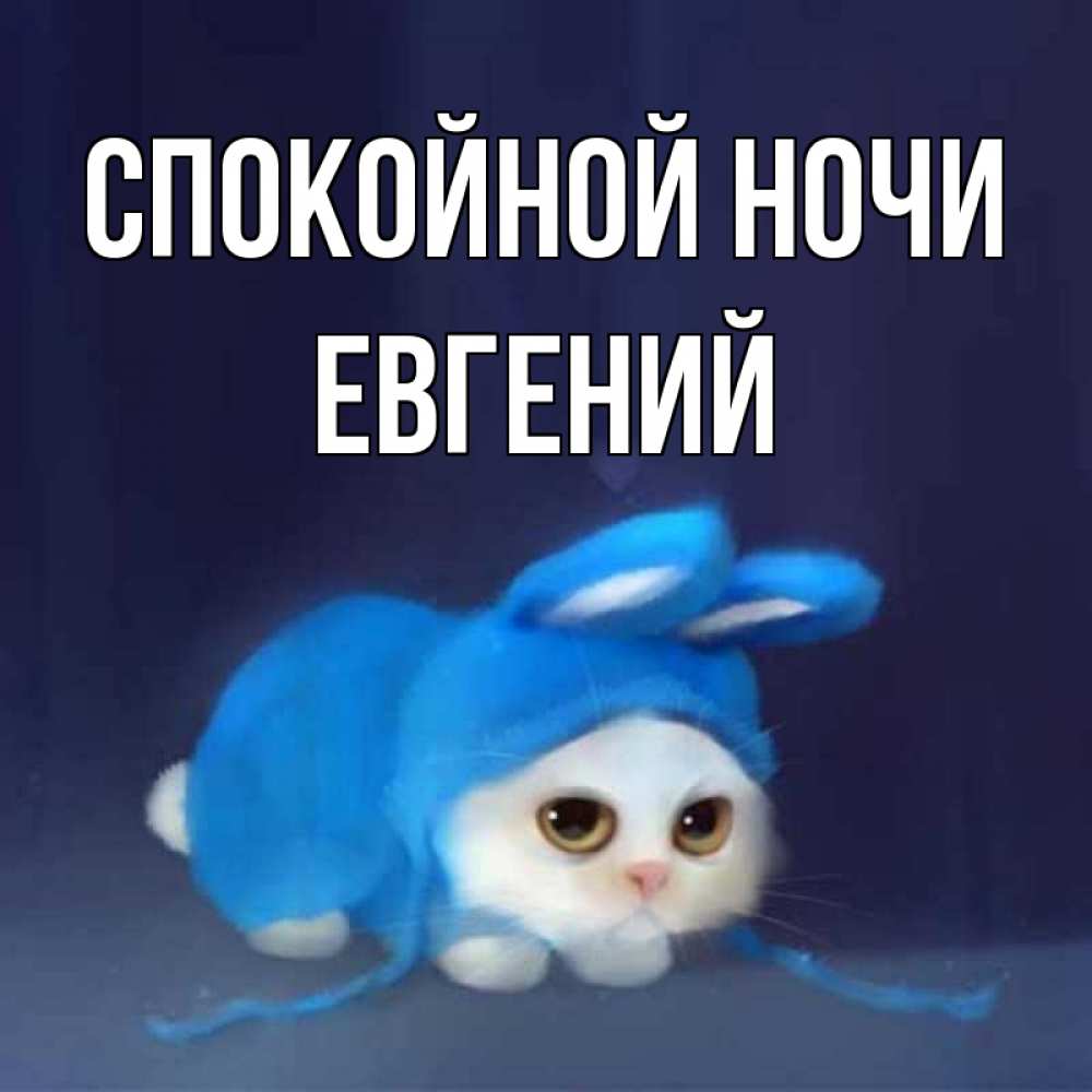 Открытка на каждый день с именем, Евгений Спокойной ночи кот в голубом костюме кролика с ушками Прикольная открытка с пожеланием онлайн скачать бесплатно 