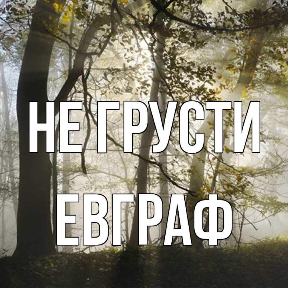 Открытка на каждый день с именем, Евграф Не грусти лес и свет Прикольная открытка с пожеланием онлайн скачать бесплатно 