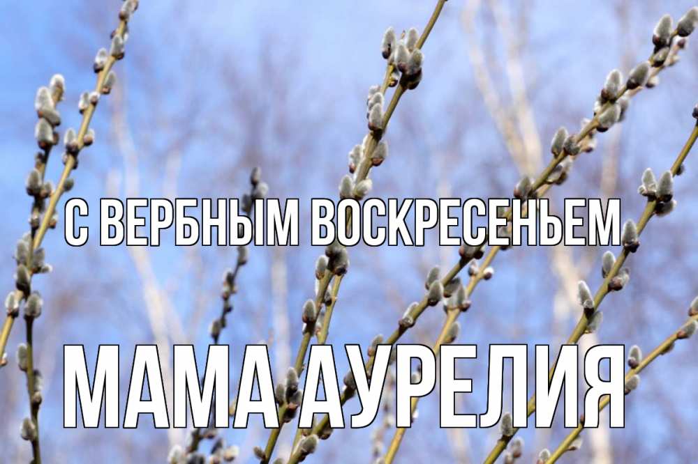 Открытка на каждый день с именем, Мама-Аурелия С вербным воскресеньем верба Прикольная открытка с пожеланием онлайн скачать бесплатно 