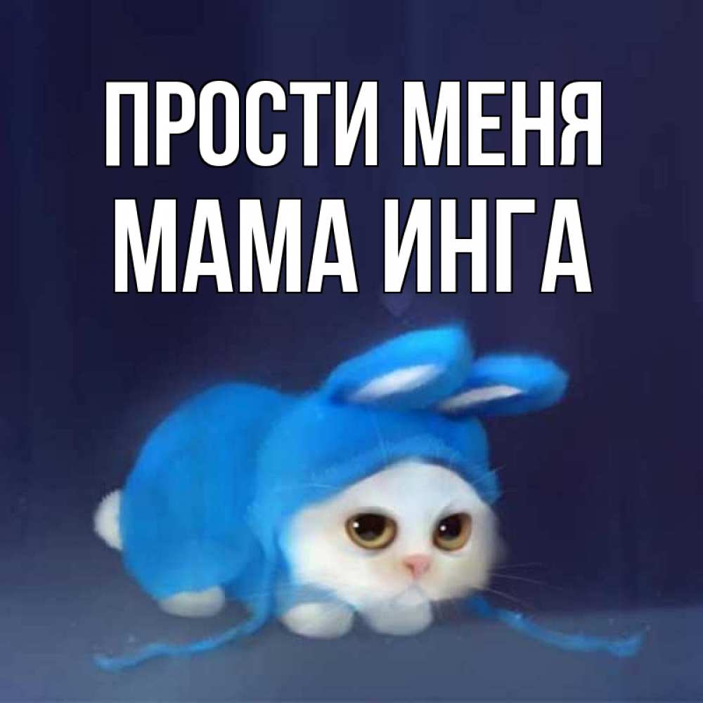 Открытка на каждый день с именем, Мама-Инга Прости меня невинный котозай просит прощения Прикольная открытка с пожеланием онлайн скачать бесплатно 