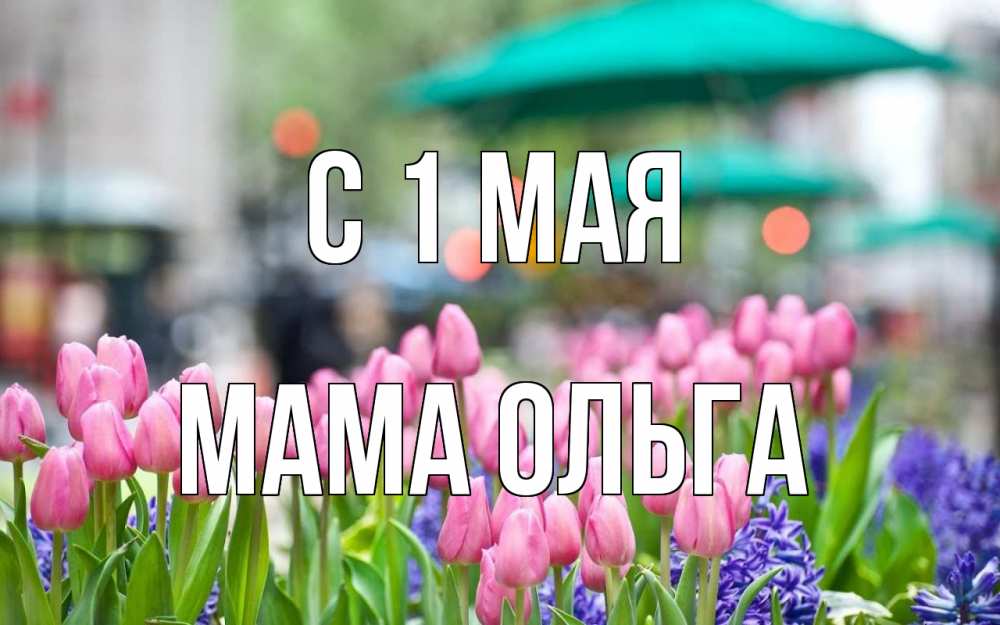 Открытка на каждый день с именем, Мама-Ольга С 1 мая С 1 мая Прикольная открытка с пожеланием онлайн скачать бесплатно 
