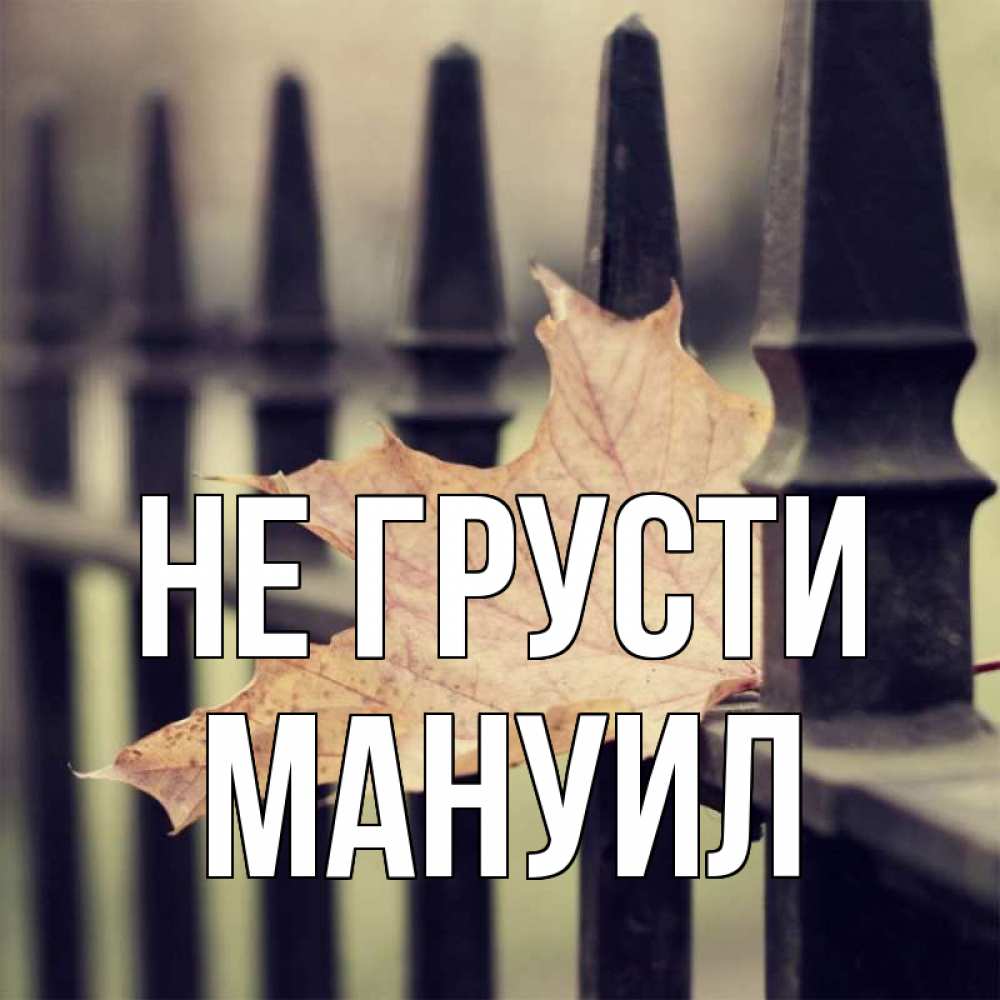 Открытка на каждый день с именем, Мануил Не грусти лист клена Прикольная открытка с пожеланием онлайн скачать бесплатно 