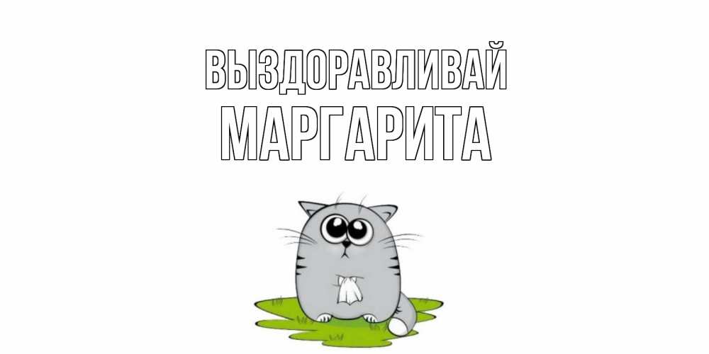 Открытка на каждый день с именем, Маргарита Выздоравливай кот и открытки про выздоровление Прикольная открытка с пожеланием онлайн скачать бесплатно 