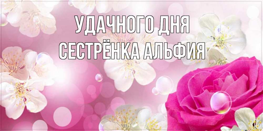 Открытка на каждый день с именем, Сестрёнка-Альфия Удачного дня красивые цветы Прикольная открытка с пожеланием онлайн скачать бесплатно 