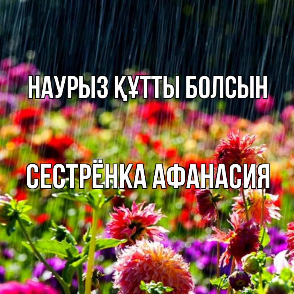 Открытка на каждый день с именем, Сестрёнка-Афанасия Наурыз құтты болсын цветы под дождиком к наурызу Прикольная открытка с пожеланием онлайн скачать бесплатно 