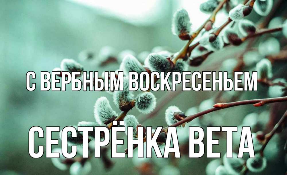 Открытка на каждый день с именем, Сестрёнка-Вета С вербным воскресеньем верба Прикольная открытка с пожеланием онлайн скачать бесплатно 