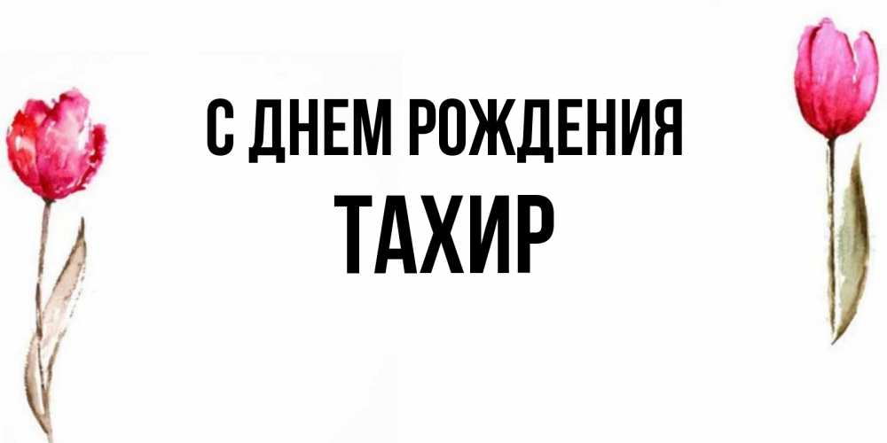 Открытка на каждый день с именем, Тахир С днем рождения открытки акварелью с цветами Прикольная открытка с пожеланием онлайн скачать бесплатно 