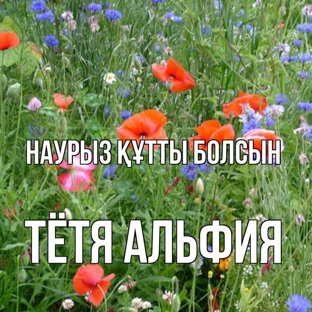 Открытка на каждый день с именем, Тётя-Альфия Наурыз құтты болсын наурыз  4 Прикольная открытка с пожеланием онлайн скачать бесплатно 