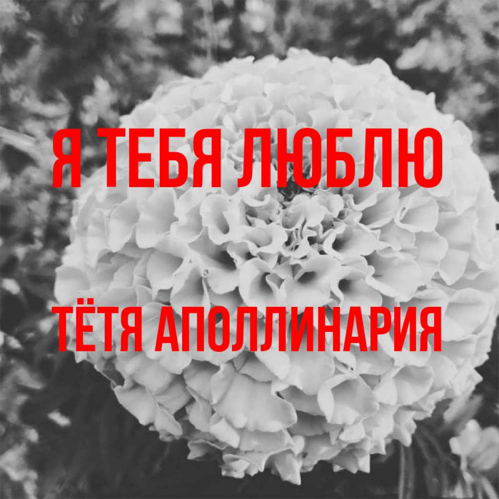 Открытка на каждый день с именем, Тётя-Аполлинария Я тебя люблю подпись Прикольная открытка с пожеланием онлайн скачать бесплатно 