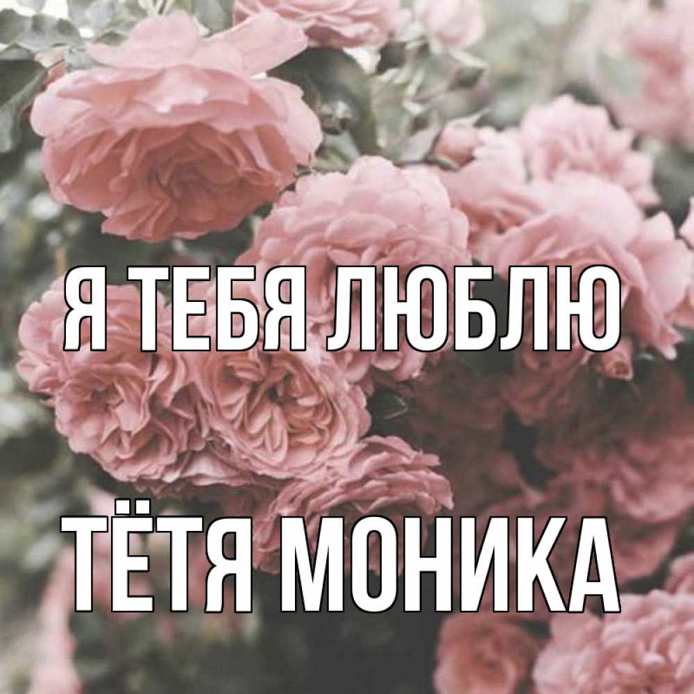 Открытка на каждый день с именем, Тётя-Моника Я тебя люблю розы 3 Прикольная открытка с пожеланием онлайн скачать бесплатно 