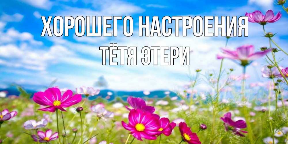 Открытка на каждый день с именем, Тётя-Этери Хорошего настроения поле цветов Прикольная открытка с пожеланием онлайн скачать бесплатно 