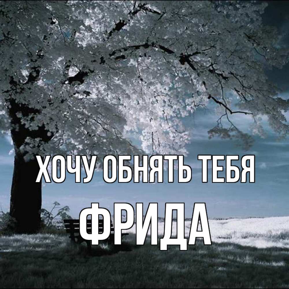 Открытка на каждый день с именем, Фрида Хочу обнять тебя дерево Прикольная открытка с пожеланием онлайн скачать бесплатно 