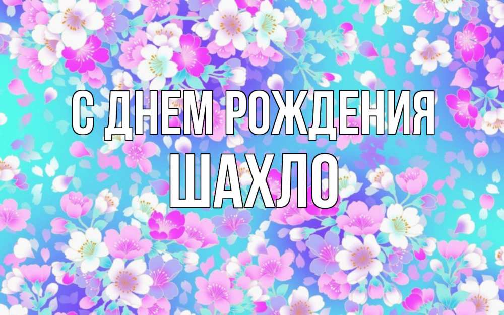 Открытка на каждый день с именем, Шахло С днем рождения открытка с заливкой Прикольная открытка с пожеланием онлайн скачать бесплатно 