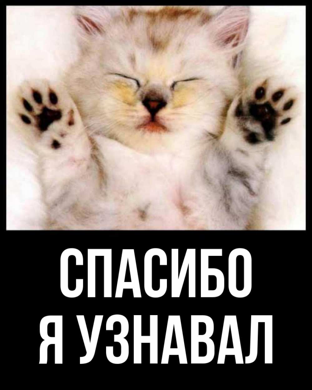 Открытка с именем, Я узнавал, Спасибо