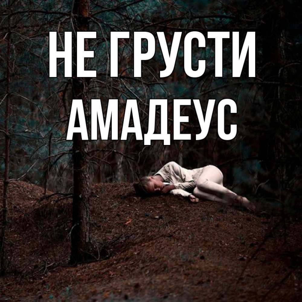 Открытка на каждый день с именем, Амадеус Не грусти лес Прикольная открытка с пожеланием онлайн скачать бесплатно 