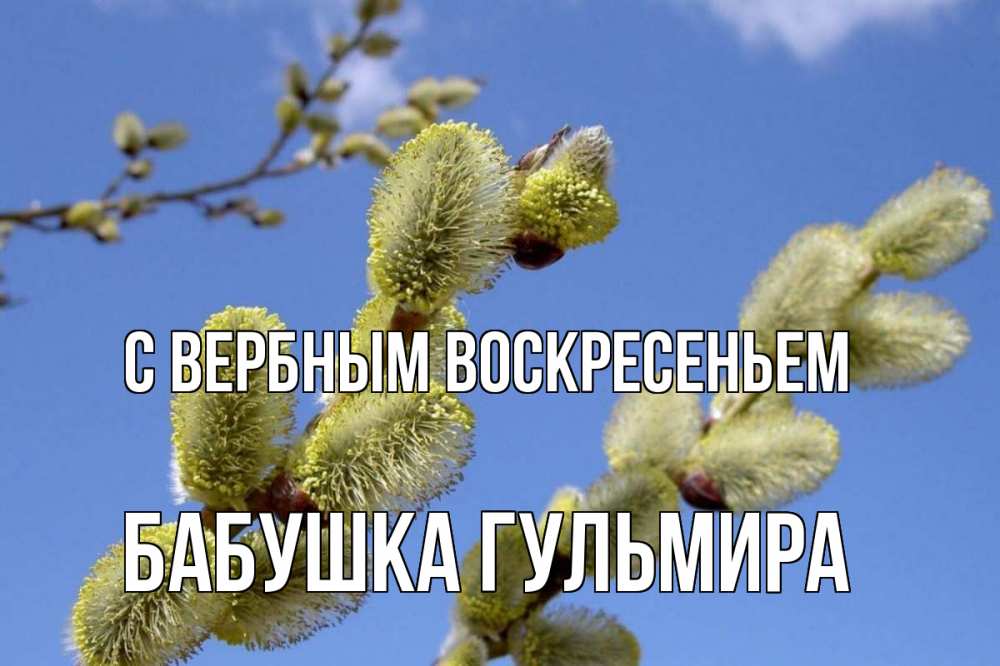 Открытка на каждый день с именем, Бабушка-Гульмира С вербным воскресеньем верба Прикольная открытка с пожеланием онлайн скачать бесплатно 
