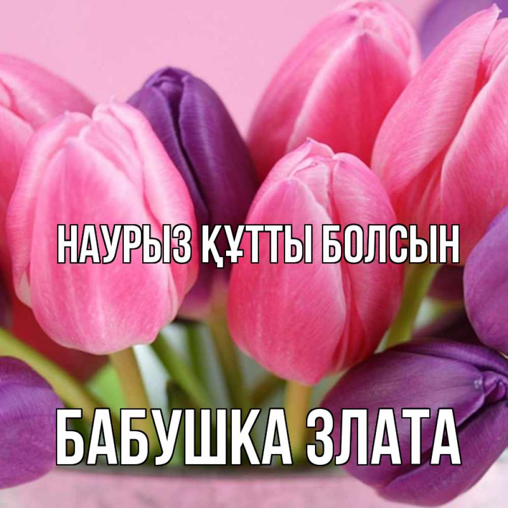 Открытка на каждый день с именем, Бабушка-Злата Наурыз құтты болсын маме 1 Прикольная открытка с пожеланием онлайн скачать бесплатно 