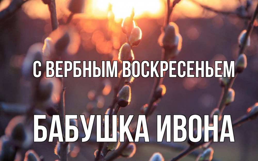 Открытка на каждый день с именем, Бабушка-Ивона С вербным воскресеньем верба Прикольная открытка с пожеланием онлайн скачать бесплатно 