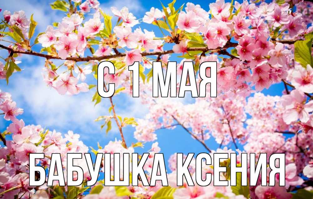 Открытка на каждый день с именем, Бабушка-Ксения С 1 мая С 1 мая Прикольная открытка с пожеланием онлайн скачать бесплатно 