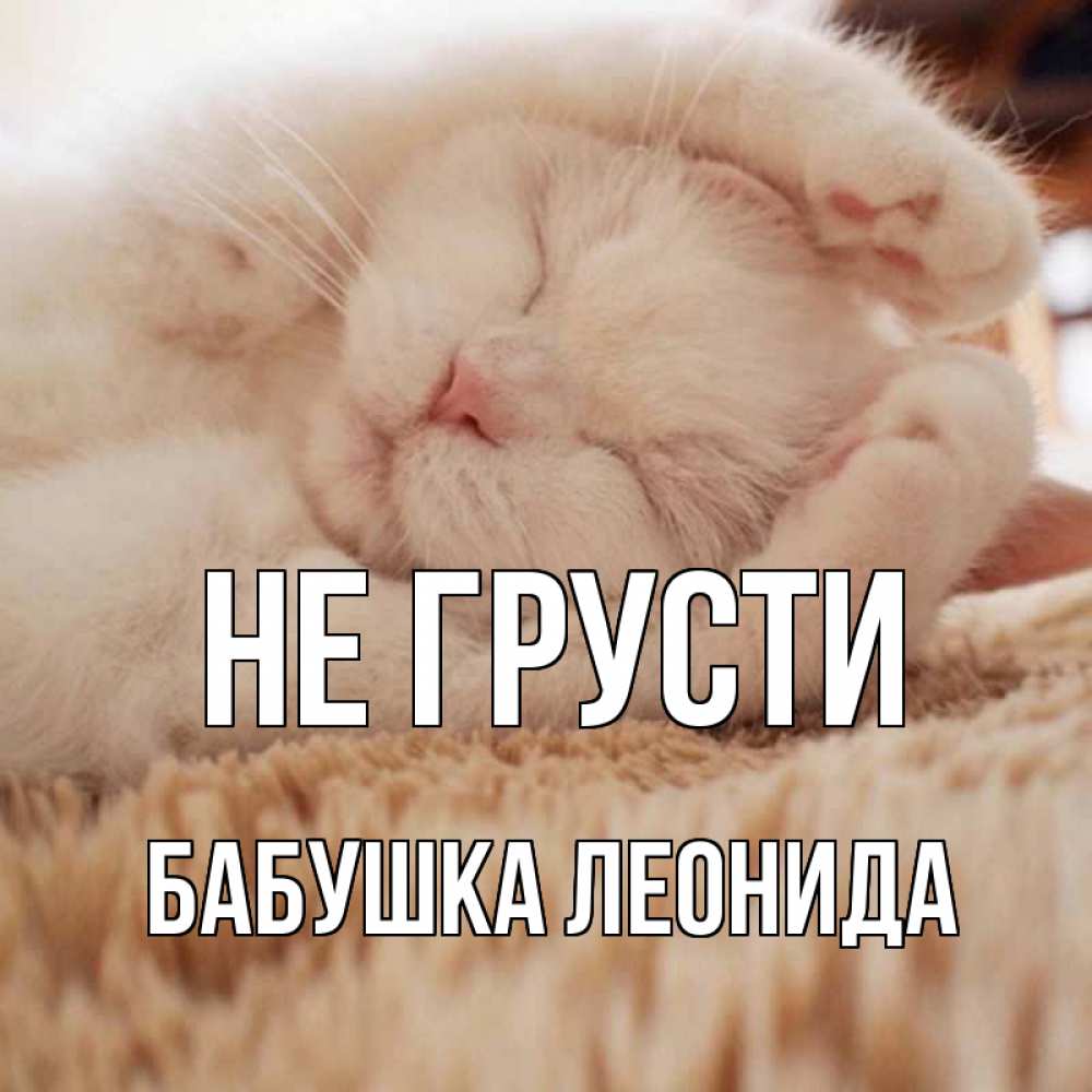Открытка на каждый день с именем, Бабушка-Леонида Не грусти белый кот Прикольная открытка с пожеланием онлайн скачать бесплатно 