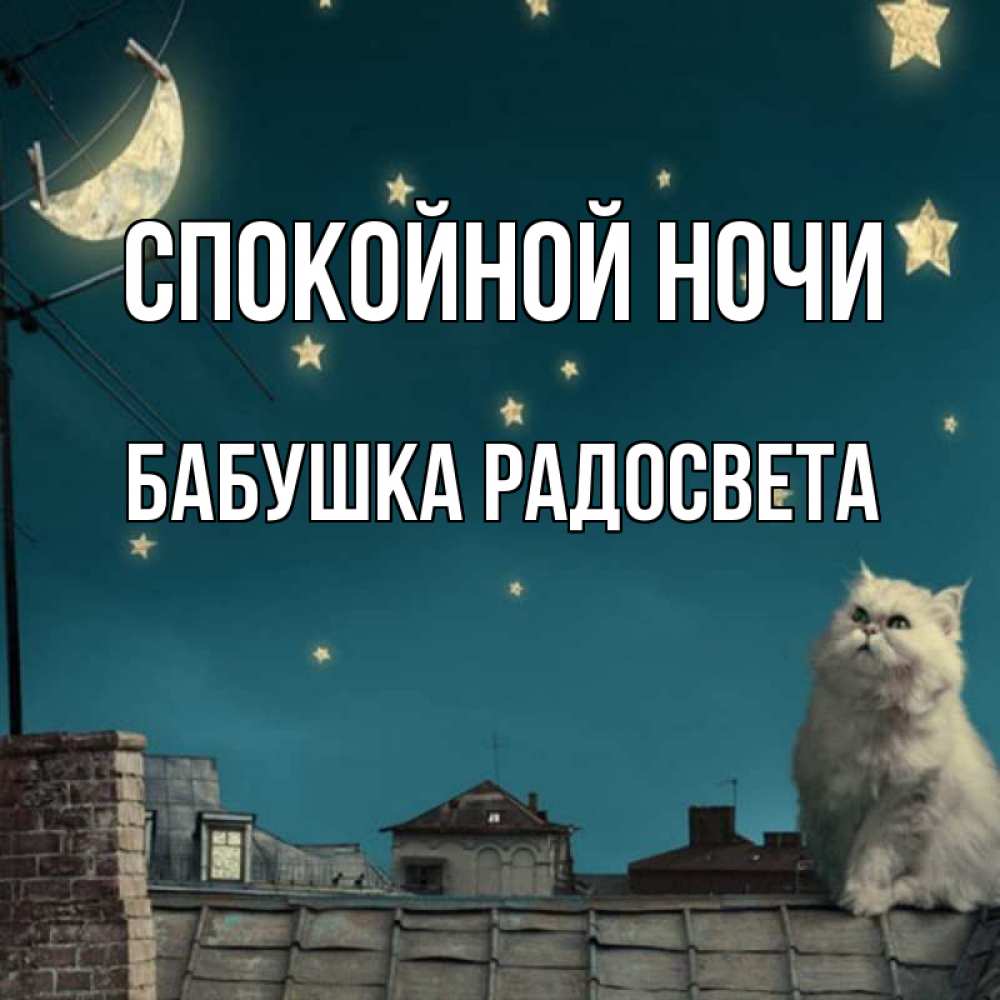 Открытка на каждый день с именем, Бабушка-Радосвета Спокойной ночи белый кот сидит на крыше Прикольная открытка с пожеланием онлайн скачать бесплатно 