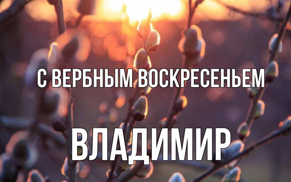 Открытка на каждый день с именем, Владимир С вербным воскресеньем верба Прикольная открытка с пожеланием онлайн скачать бесплатно 