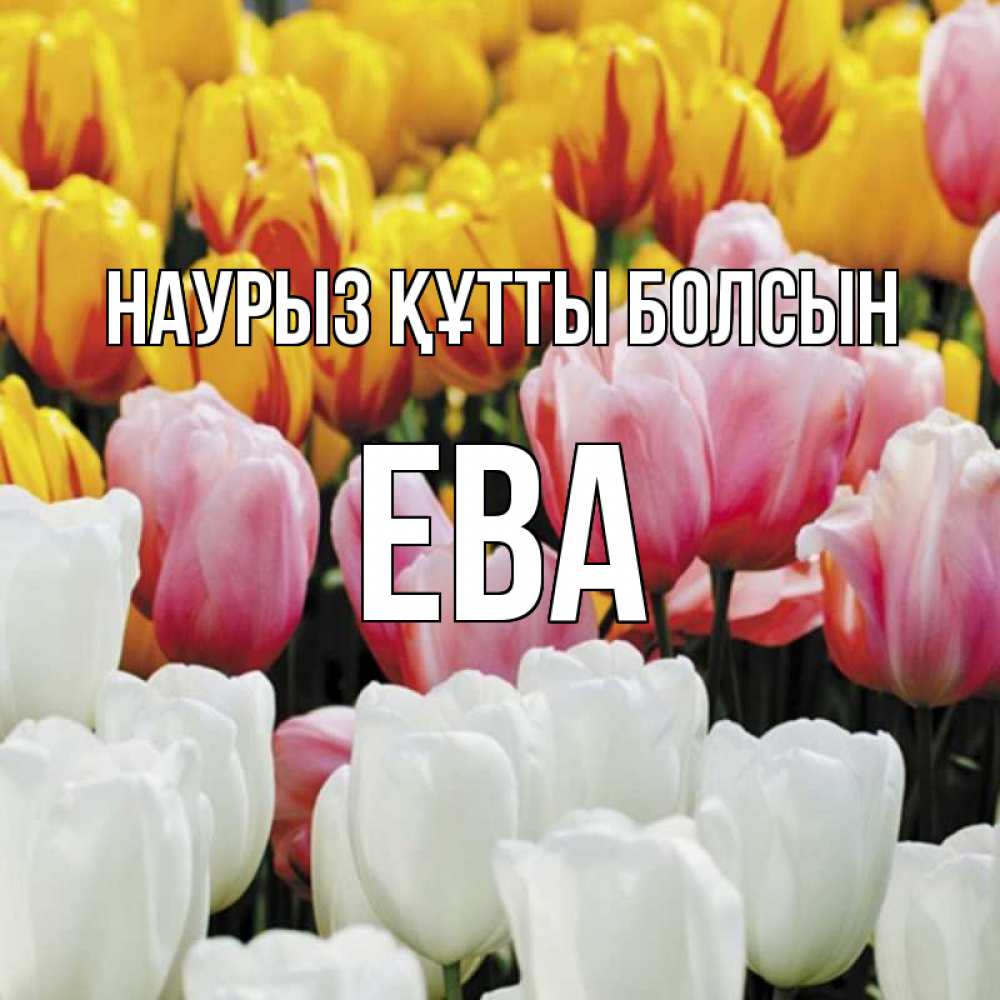 Открытка на каждый день с именем, Ева Наурыз құтты болсын разноцветные цветы Прикольная открытка с пожеланием онлайн скачать бесплатно 