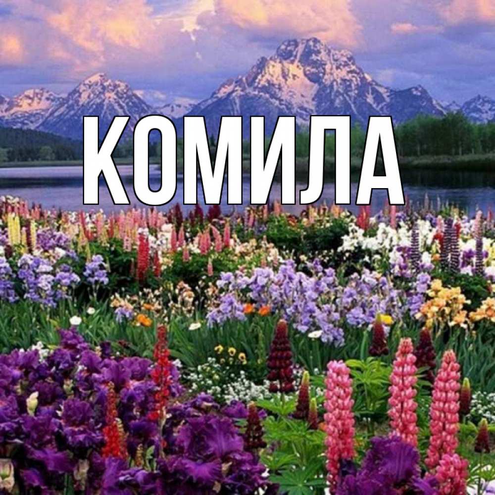 Открытка на каждый день с именем, Комила Главная международный женский день Прикольная открытка с пожеланием онлайн скачать бесплатно 