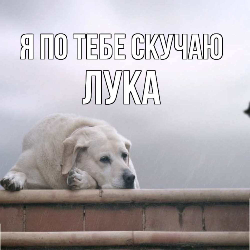 Открытка на каждый день с именем, Лука Я по тебе скучаю ждет Прикольная открытка с пожеланием онлайн скачать бесплатно 