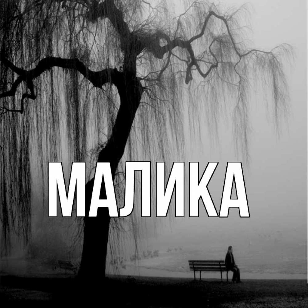 Открытка на каждый день с именем, Малика Главная лавочка под деревом я жду тебя Прикольная открытка с пожеланием онлайн скачать бесплатно 