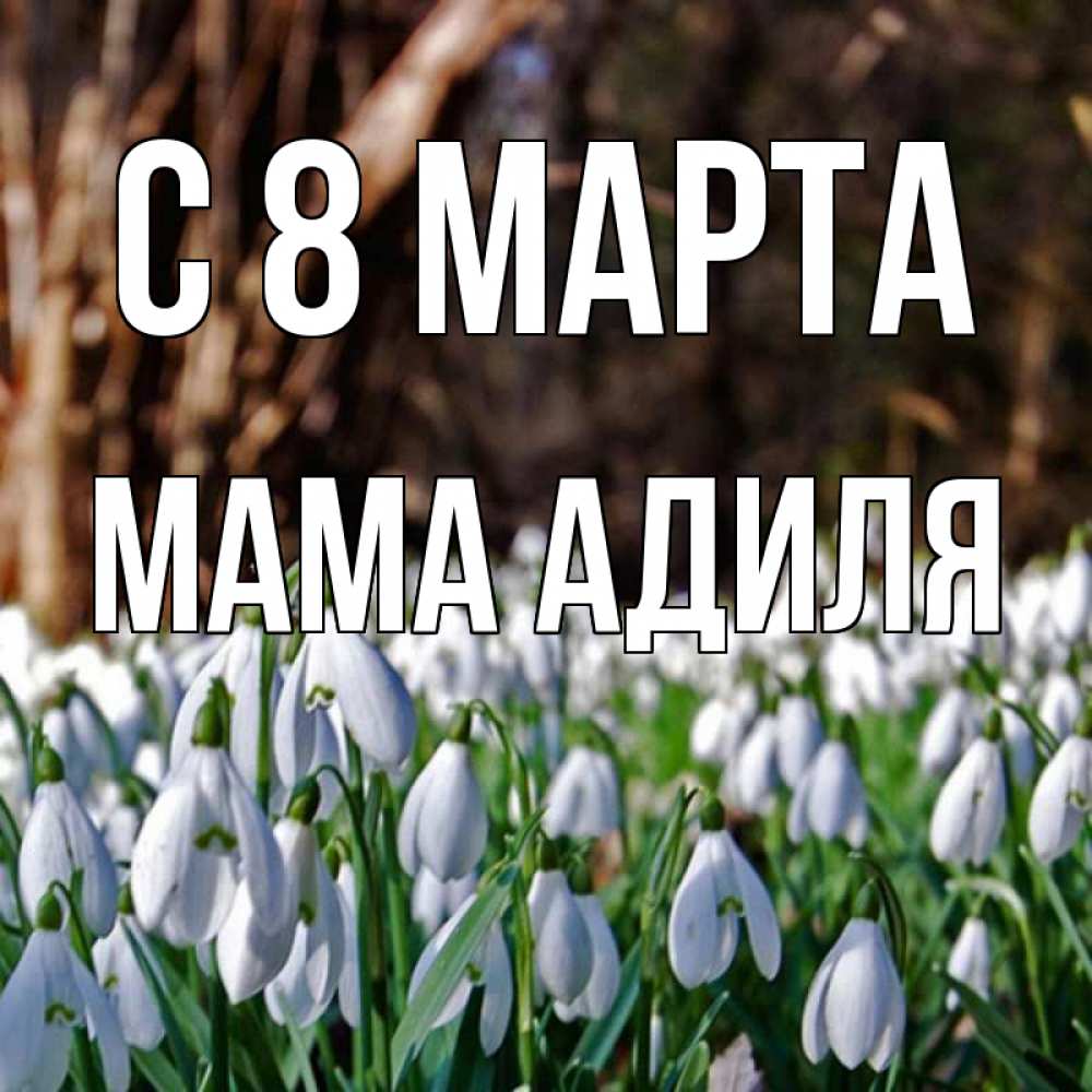 Открытка на каждый день с именем, Мама-Адиля С 8 марта с подснежниками 1 Прикольная открытка с пожеланием онлайн скачать бесплатно 