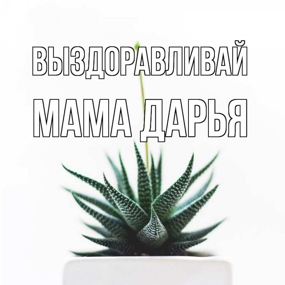 Открытка на каждый день с именем, Мама-Дарья Выздоравливай короче это непонятная колючка Прикольная открытка с пожеланием онлайн скачать бесплатно 