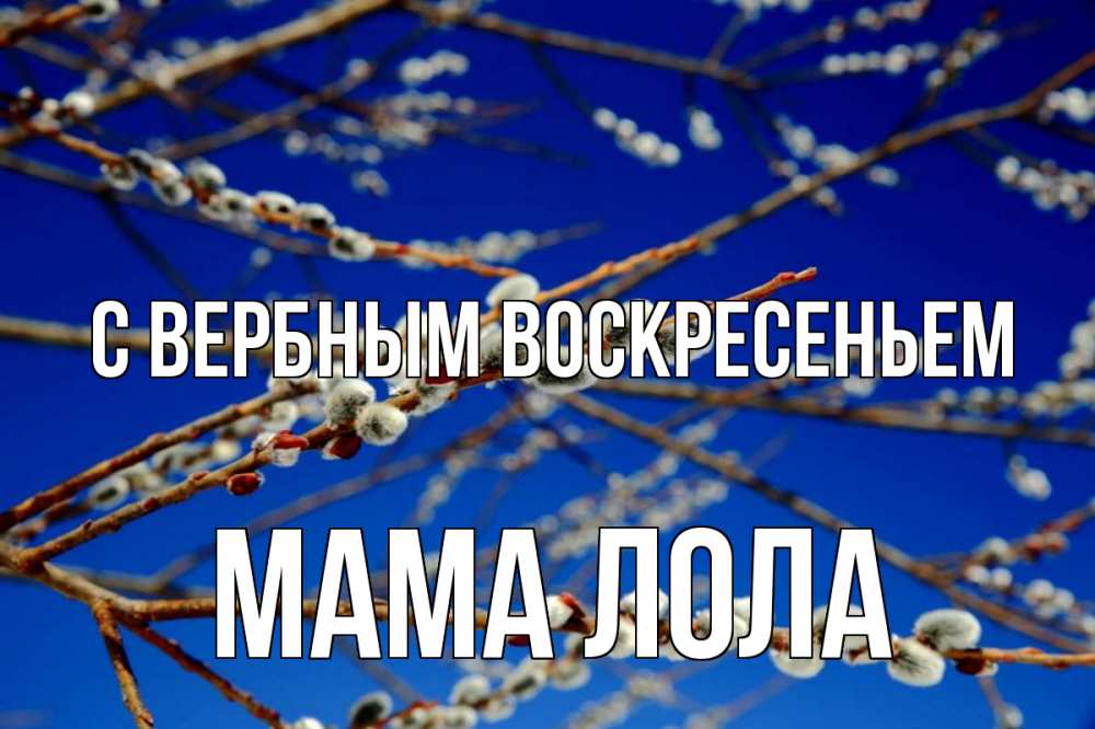 Открытка на каждый день с именем, Мама-Лола С вербным воскресеньем верба Прикольная открытка с пожеланием онлайн скачать бесплатно 