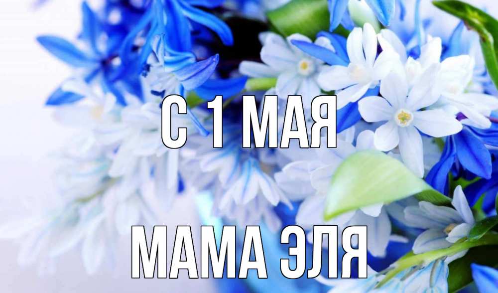 Открытка на каждый день с именем, Мама-Эля С 1 мая С 1 мая Прикольная открытка с пожеланием онлайн скачать бесплатно 