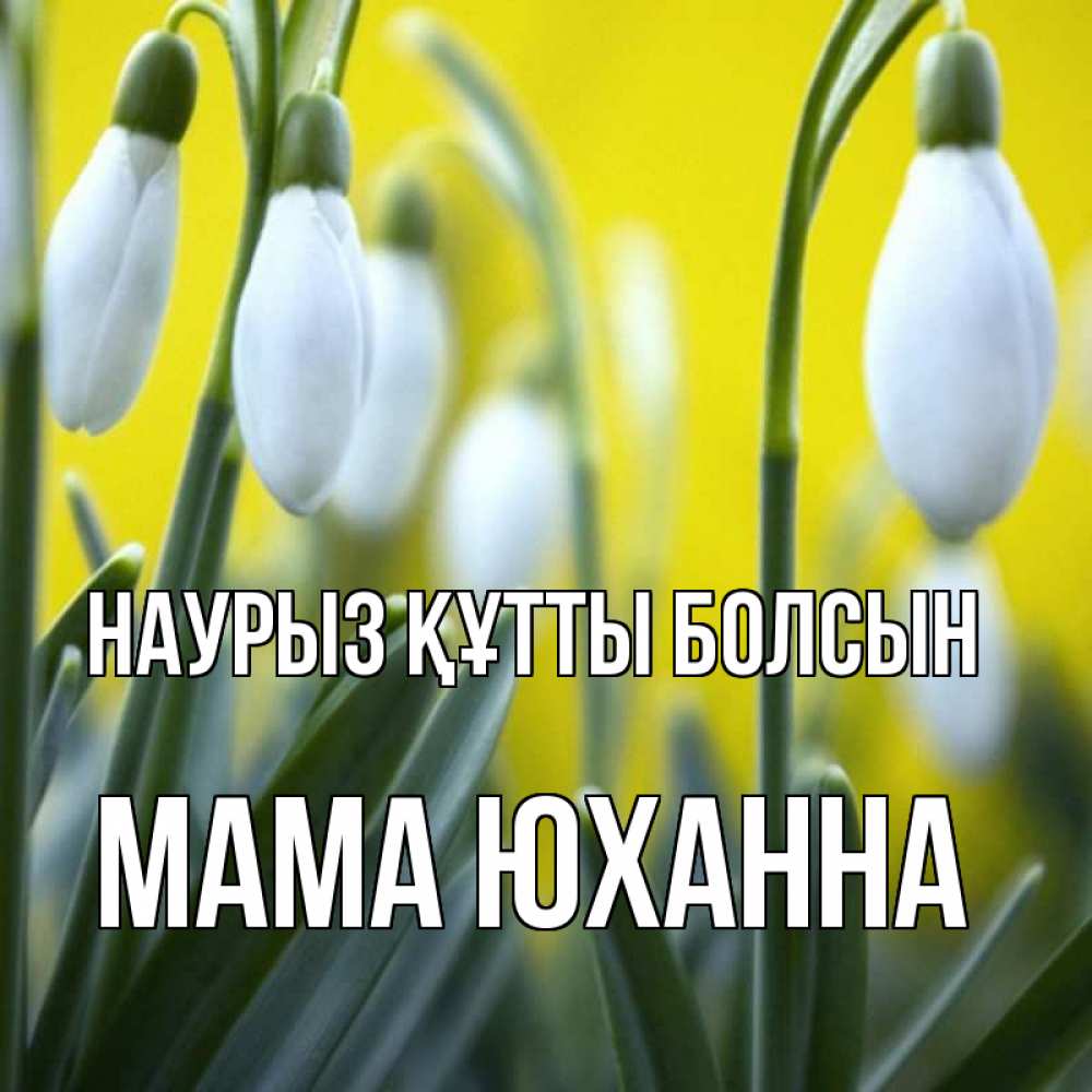 Открытка на каждый день с именем, Мама-Юханна Наурыз құтты болсын весенние цветы Прикольная открытка с пожеланием онлайн скачать бесплатно 