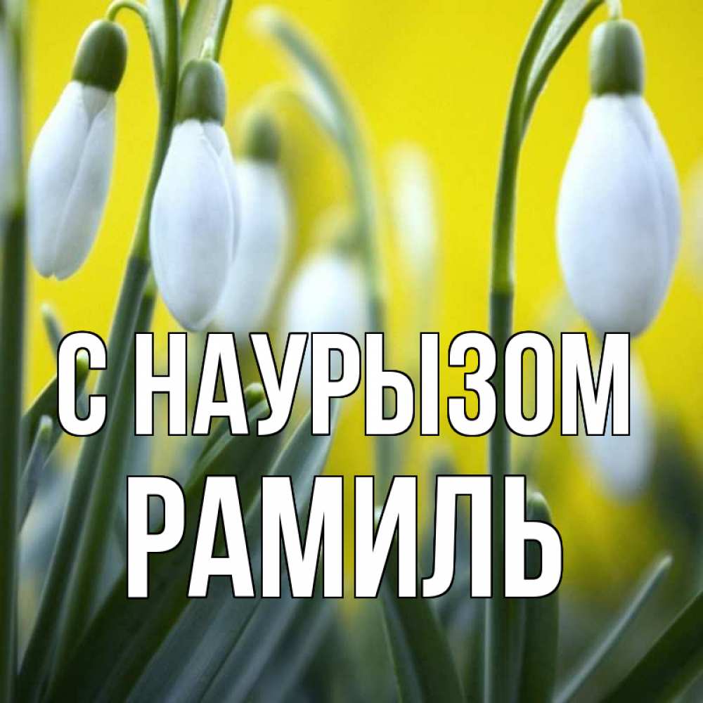 Открытка на каждый день с именем, Рамиль С наурызом весенние цветы Прикольная открытка с пожеланием онлайн скачать бесплатно 