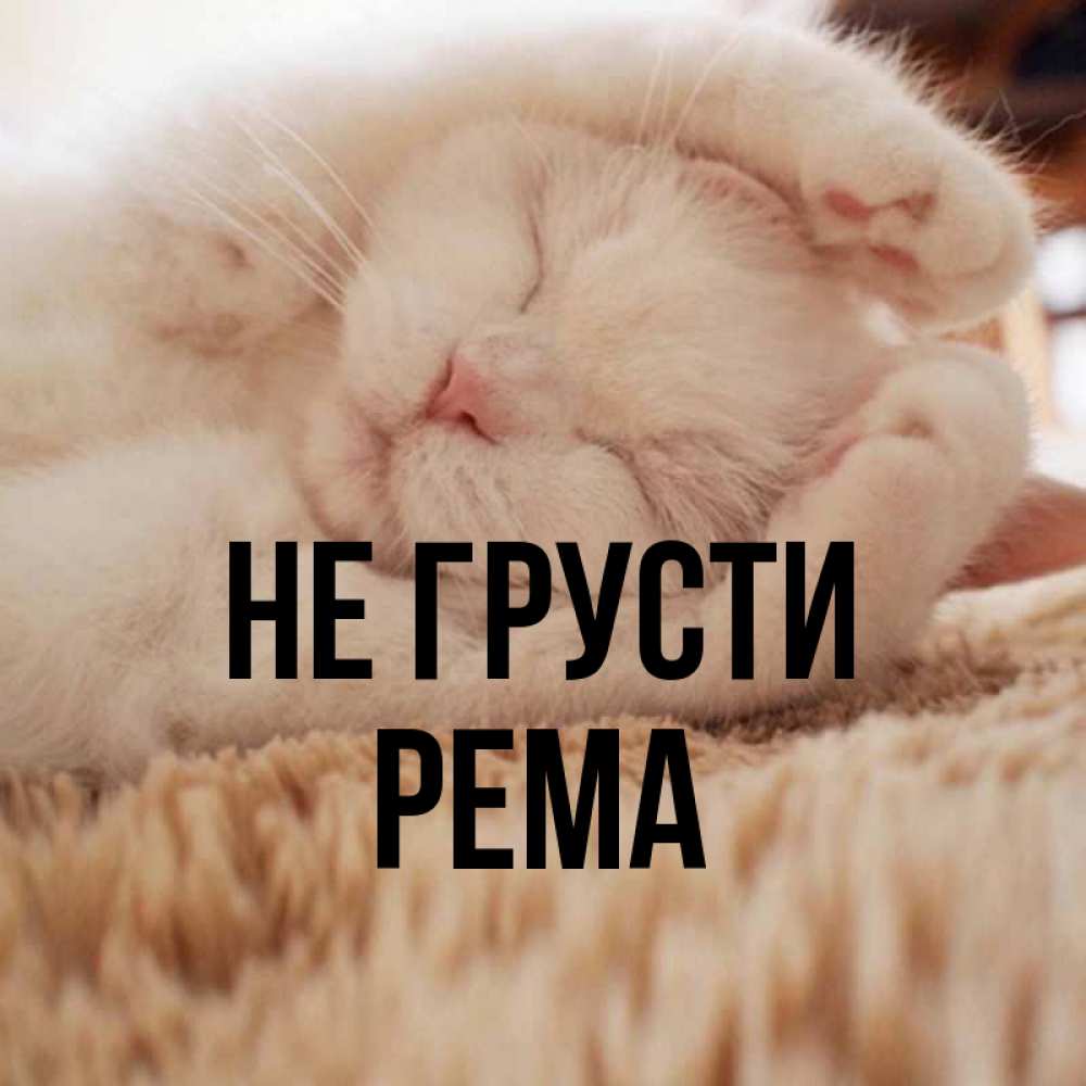 Открытка на каждый день с именем, Рема Не грусти Котенок спит Прикольная открытка с пожеланием онлайн скачать бесплатно 