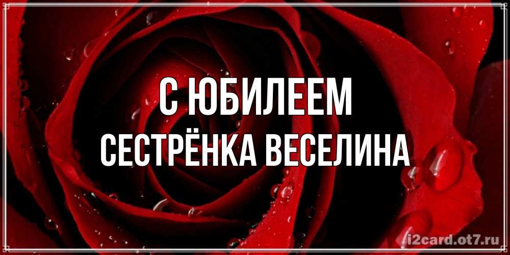 Открытка на каждый день с именем, Сестрёнка-Веселина С юбилеем крупная бордовая роза Прикольная открытка с пожеланием онлайн скачать бесплатно 