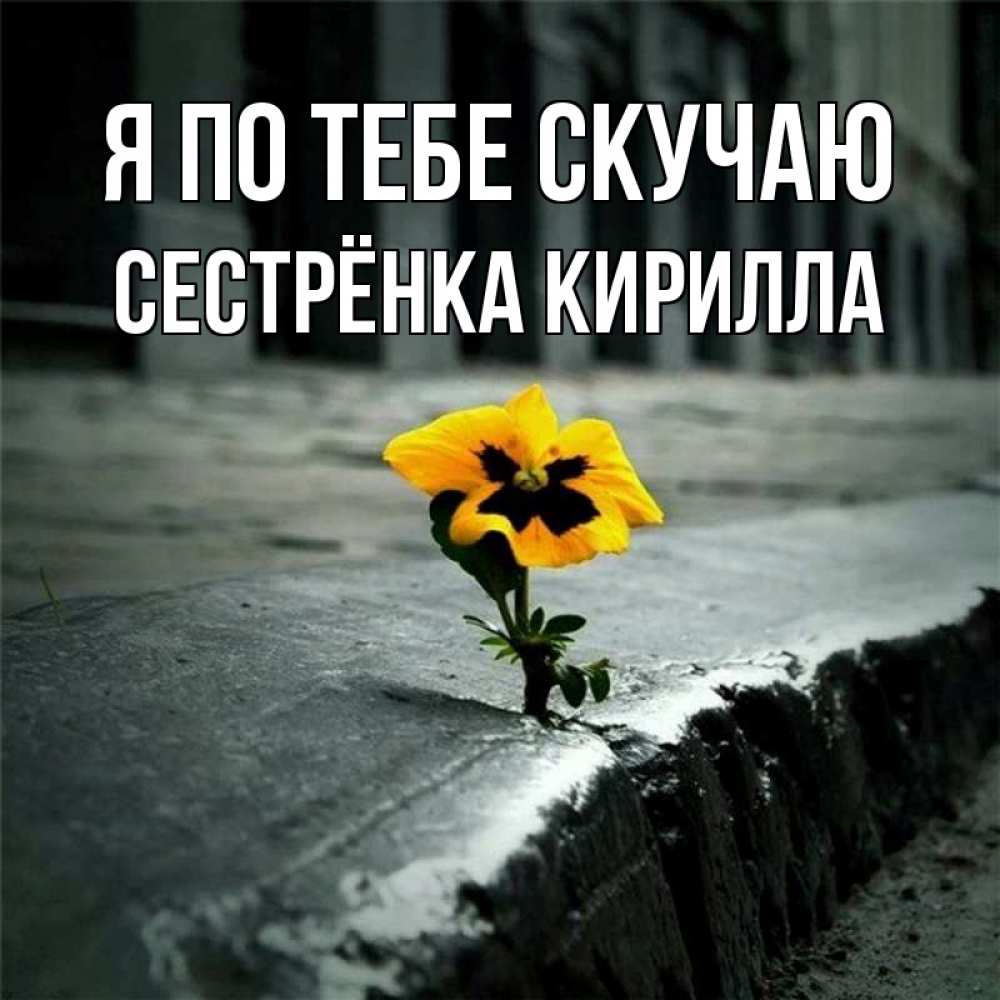Открытка на каждый день с именем, Сестрёнка-Кирилла Я по тебе скучаю надеюсь будет лучше Прикольная открытка с пожеланием онлайн скачать бесплатно 